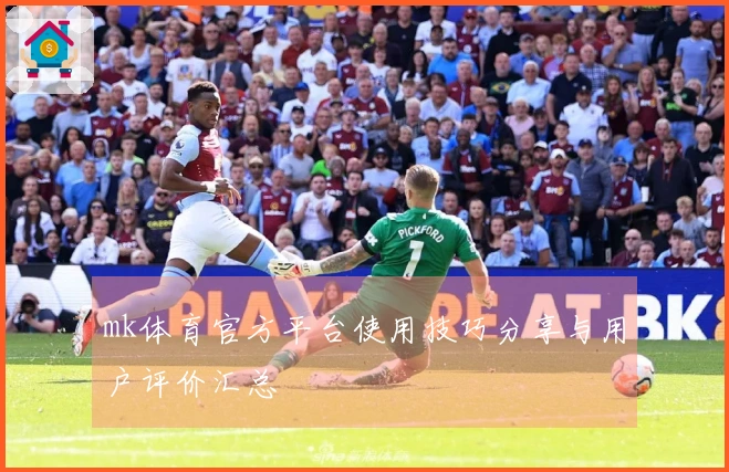 mk体育官方平台使用技巧分享与用户评价汇总