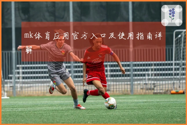 mk体育应用官方入口及使用指南详解