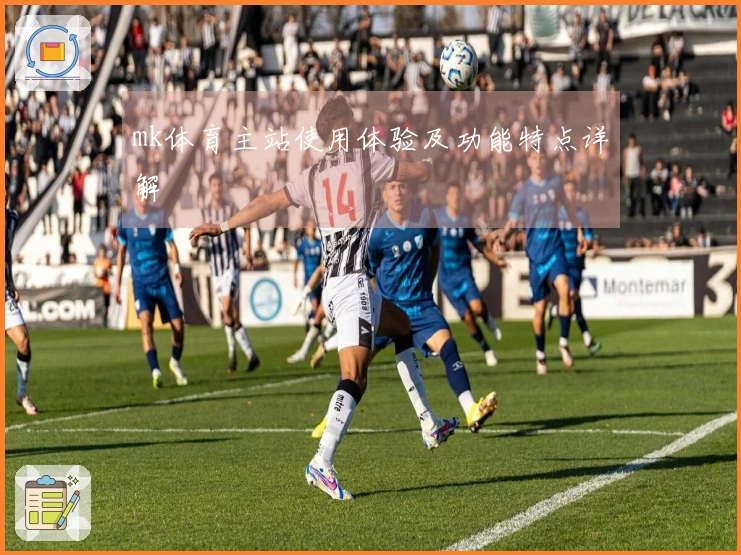mk体育主站使用体验及功能特点详解